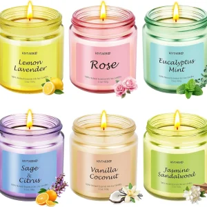 6 Pack Aromatherapy Scented Soy Candles